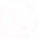 whatsapp icon